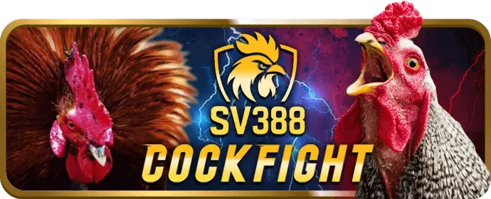 Mạng xã hội mb66b casino